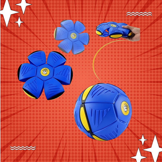 PELOTA  VOLADORA FRISBEE